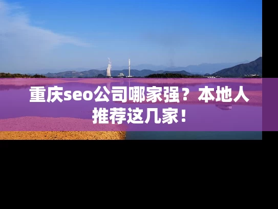 重庆seo公司哪家强？本地人推荐这几家！