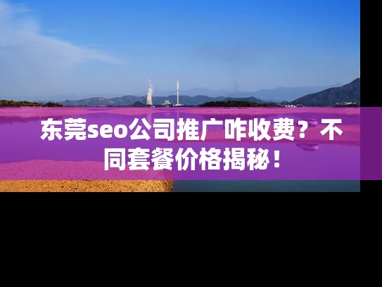 东莞seo公司推广咋收费？不同套餐价格揭秘！