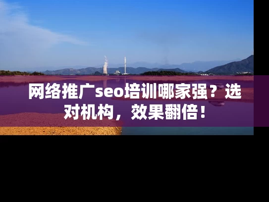 网络推广seo培训哪家强？选对机构，效果翻倍！