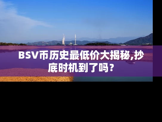 BSV币历史最低价大揭秘,抄底时机到了吗？