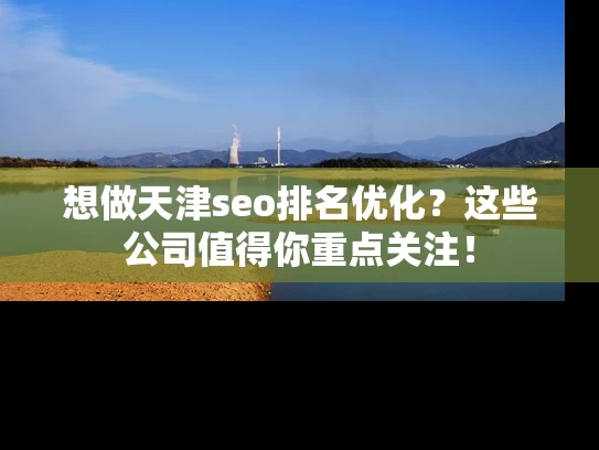 想做天津seo排名优化？这些公司值得你重点关注！