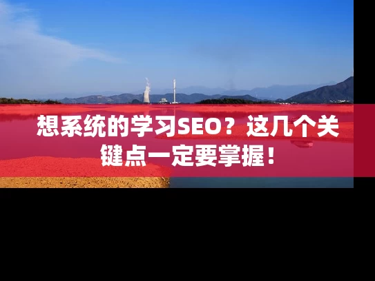 想系统的学习SEO？这几个关键点一定要掌握！