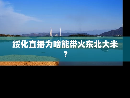 绥化直播为啥能带火东北大米？