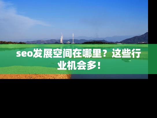 seo发展空间在哪里？这些行业机会多！