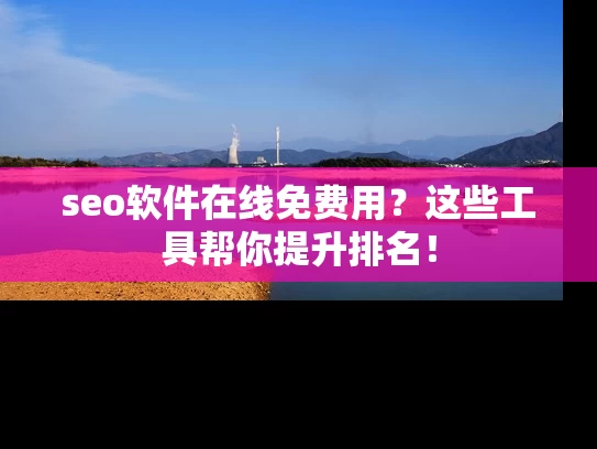 seo软件在线免费用？这些工具帮你提升排名！