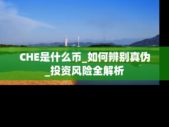 CHE是什么币_如何辨别真伪_投资风险全解析