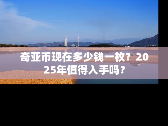 奇亚币现在多少钱一枚？2025年值得入手吗？