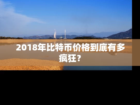 2018年比特币价格到底有多疯狂？