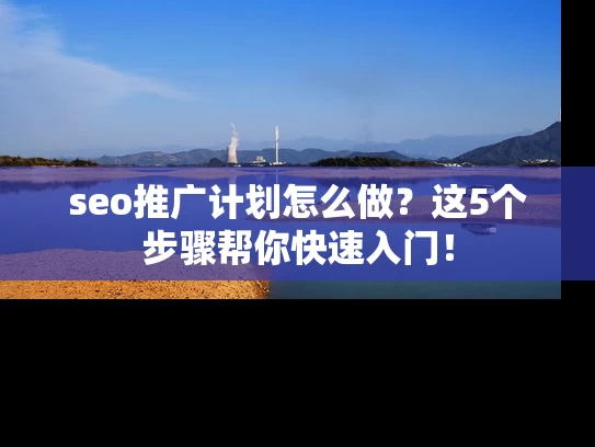 seo推广计划怎么做？这5个步骤帮你快速入门！
