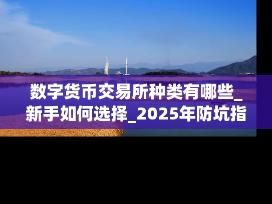 数字货币交易所种类有哪些_新手如何选择_2025年防坑指南