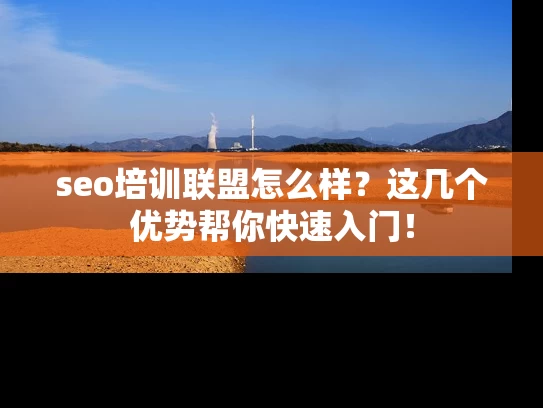 seo培训联盟怎么样？这几个优势帮你快速入门！