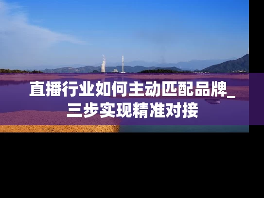 直播行业如何主动匹配品牌_三步实现精准对接