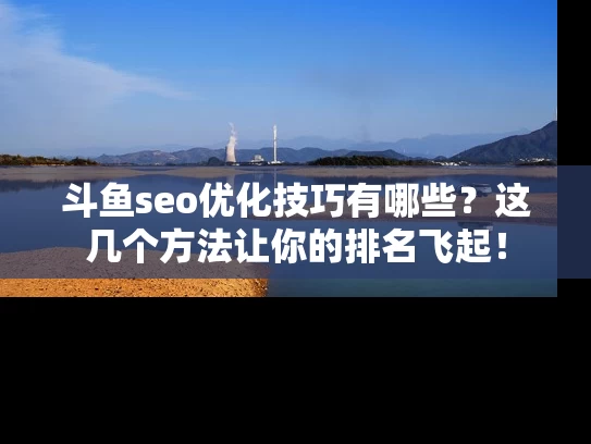 斗鱼seo优化技巧有哪些？这几个方法让你的排名飞起！
