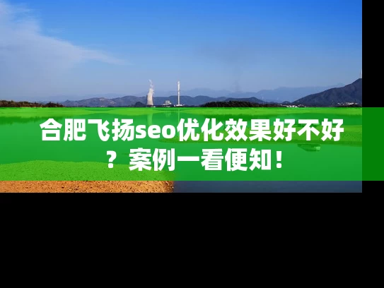 合肥飞扬seo优化效果好不好？案例一看便知！