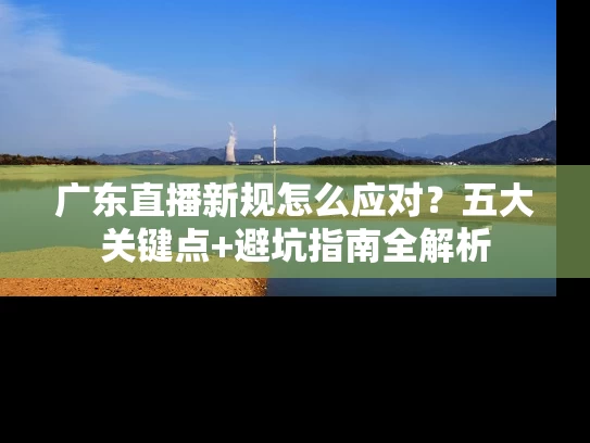 广东直播新规怎么应对？五大关键点+避坑指南全解析
