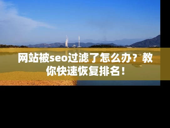 网站被seo过滤了怎么办？教你快速恢复排名！