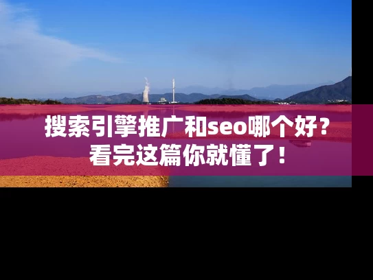 搜索引擎推广和seo哪个好？看完这篇你就懂了！