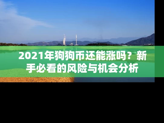 2021年狗狗币还能涨吗？新手必看的风险与机会分析