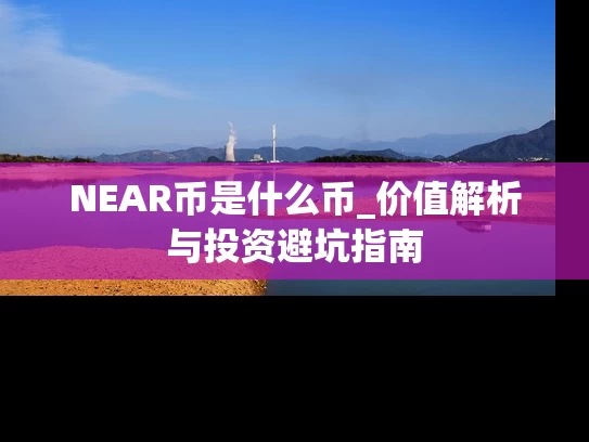 NEAR币是什么币_价值解析与投资避坑指南