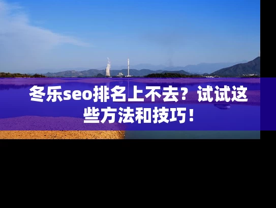 冬乐seo排名上不去？试试这些方法和技巧！