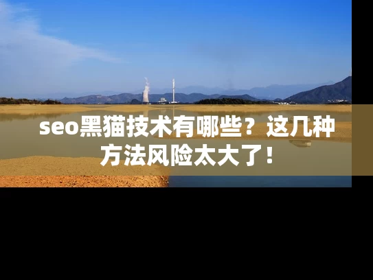 seo黑猫技术有哪些？这几种方法风险太大了！