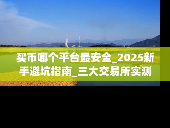 买币哪个平台最安全_2025新手避坑指南_三大交易所实测对比