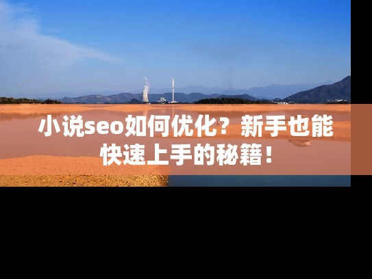 小说seo如何优化？新手也能快速上手的秘籍！