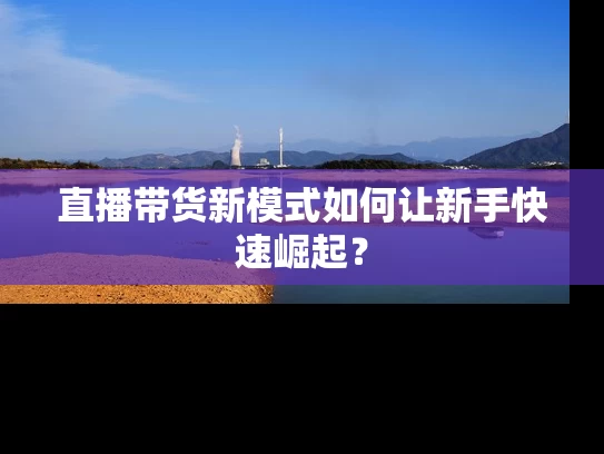 直播带货新模式如何让新手快速崛起？