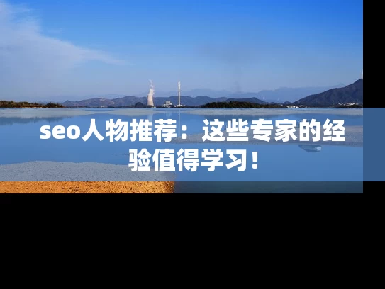 seo人物推荐：这些专家的经验值得学习！