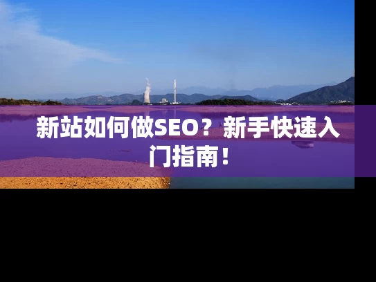 新站如何做SEO？新手快速入门指南！