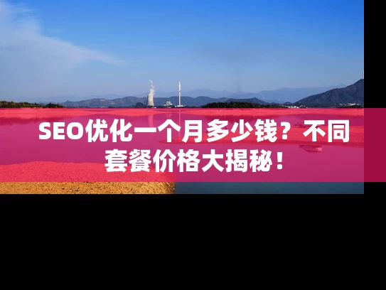 SEO优化一个月多少钱？不同套餐价格大揭秘！