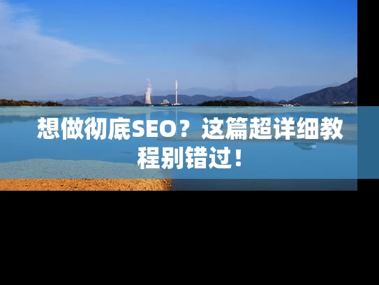 想做彻底SEO？这篇超详细教程别错过！