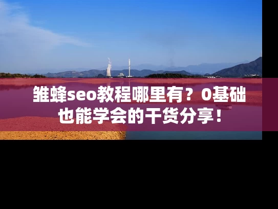 雏蜂seo教程哪里有？0基础也能学会的干货分享！