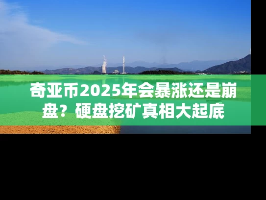 奇亚币2025年会暴涨还是崩盘？硬盘挖矿真相大起底