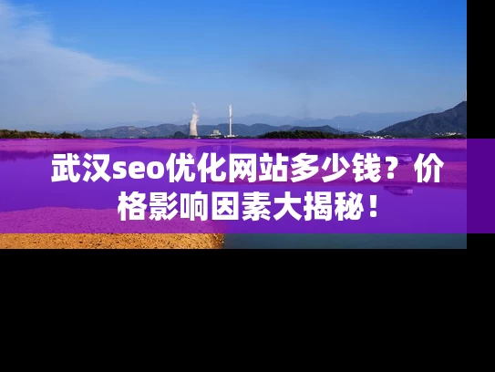 武汉seo优化网站多少钱？价格影响因素大揭秘！