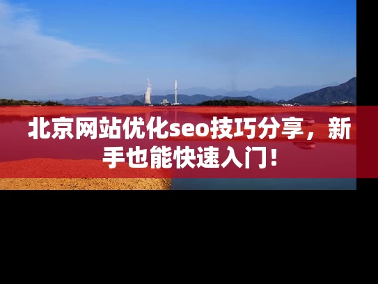北京网站优化seo技巧分享，新手也能快速入门！