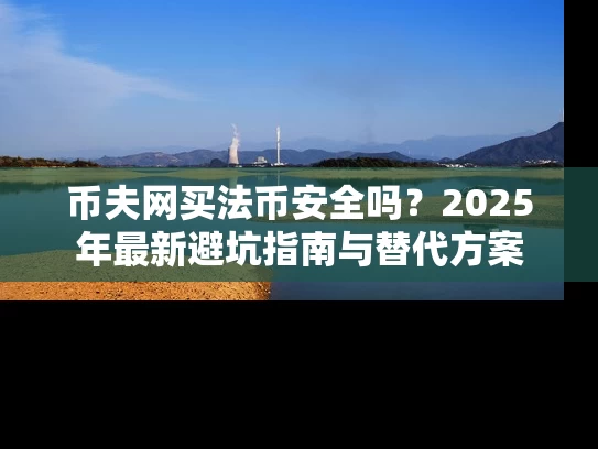 币夫网买法币安全吗？2025年最新避坑指南与替代方案