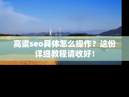 高粱seo具体怎么操作？这份详细教程请收好！