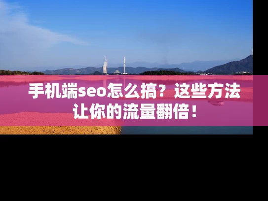 手机端seo怎么搞？这些方法让你的流量翻倍！