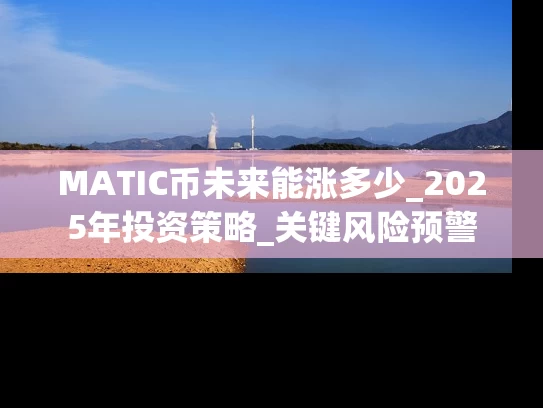 MATIC币未来能涨多少_2025年投资策略_关键风险预警
