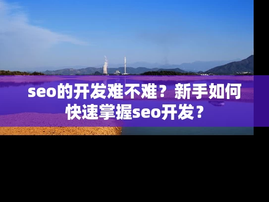seo的开发难不难？新手如何快速掌握seo开发？