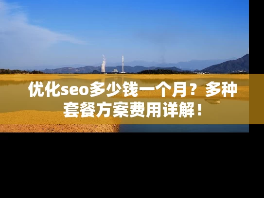 优化seo多少钱一个月？多种套餐方案费用详解！