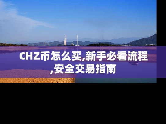 CHZ币怎么买,新手必看流程,安全交易指南