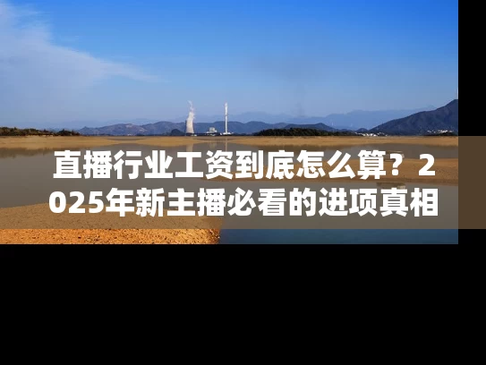直播行业工资到底怎么算？2025年新主播必看的进项真相