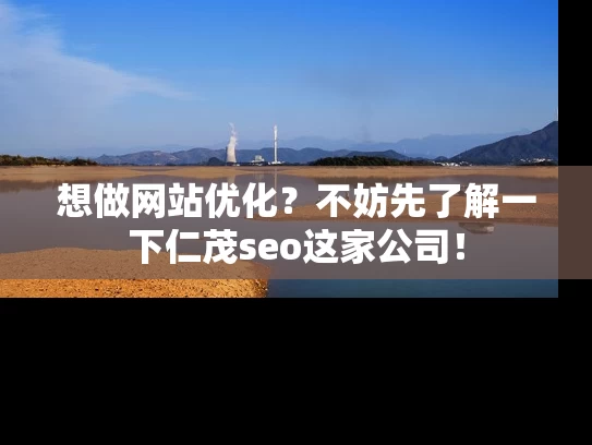 想做网站优化？不妨先了解一下仁茂seo这家公司！