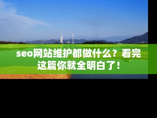 seo网站维护都做什么？看完这篇你就全明白了！