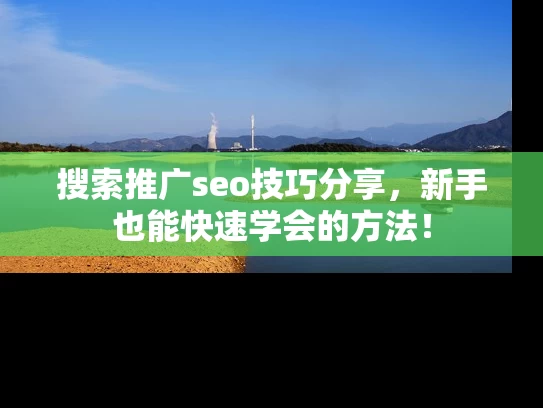 搜索推广seo技巧分享，新手也能快速学会的方法！