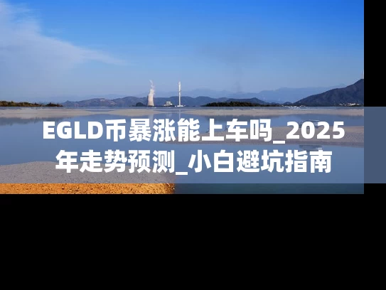 EGLD币暴涨能上车吗_2025年走势预测_小白避坑指南