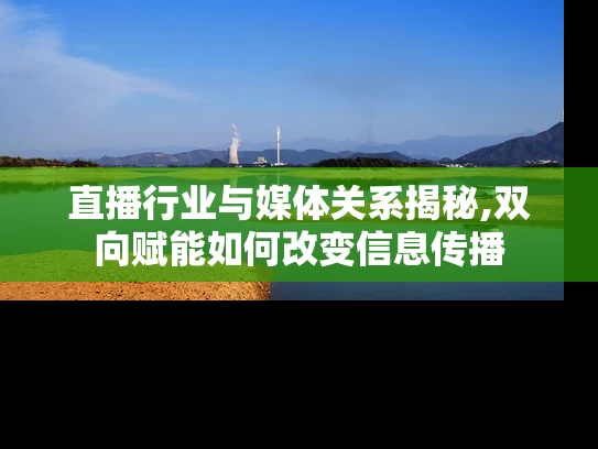直播行业与媒体关系揭秘,双向赋能如何改变信息传播