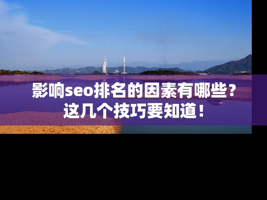 影响seo排名的因素有哪些？这几个技巧要知道！
